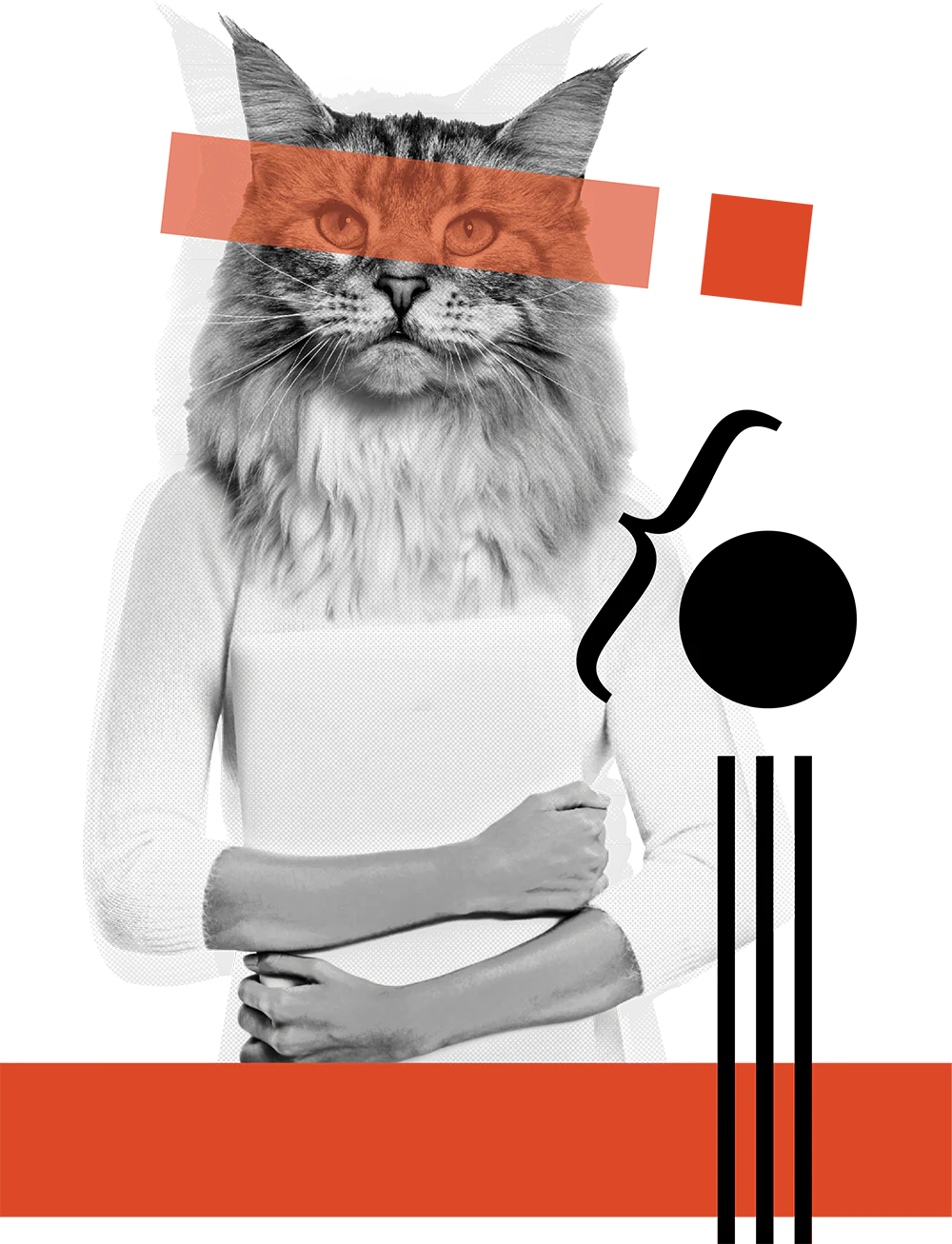 Collage creativo MIAO graphics per la pagina servizi