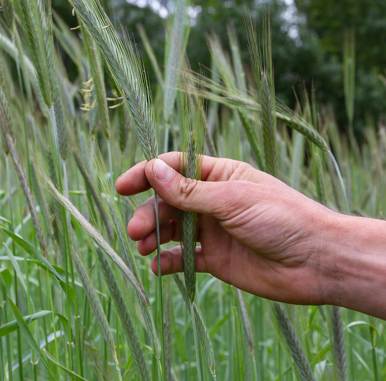 Chappoz — Azienda Agricola