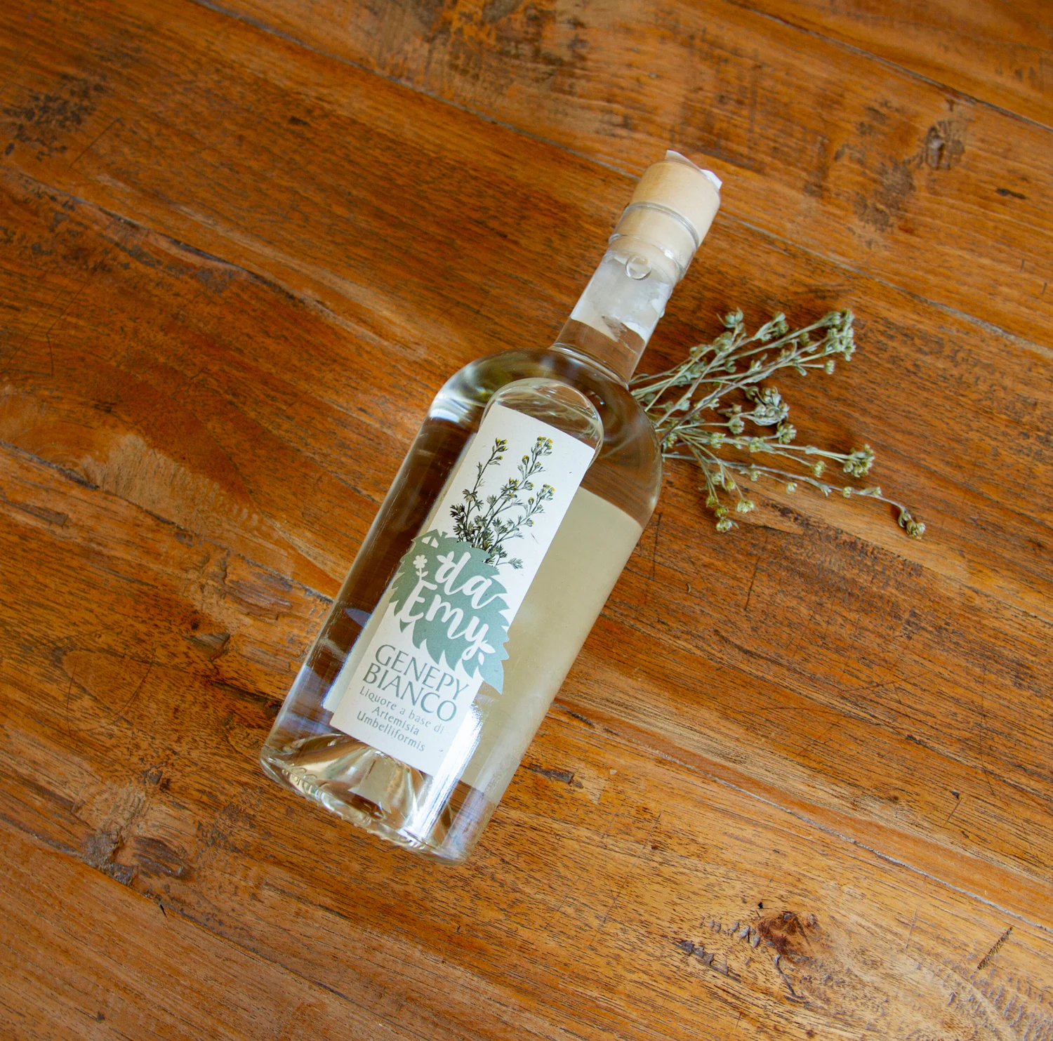 Progetto Da Emy: Piante Officinali
