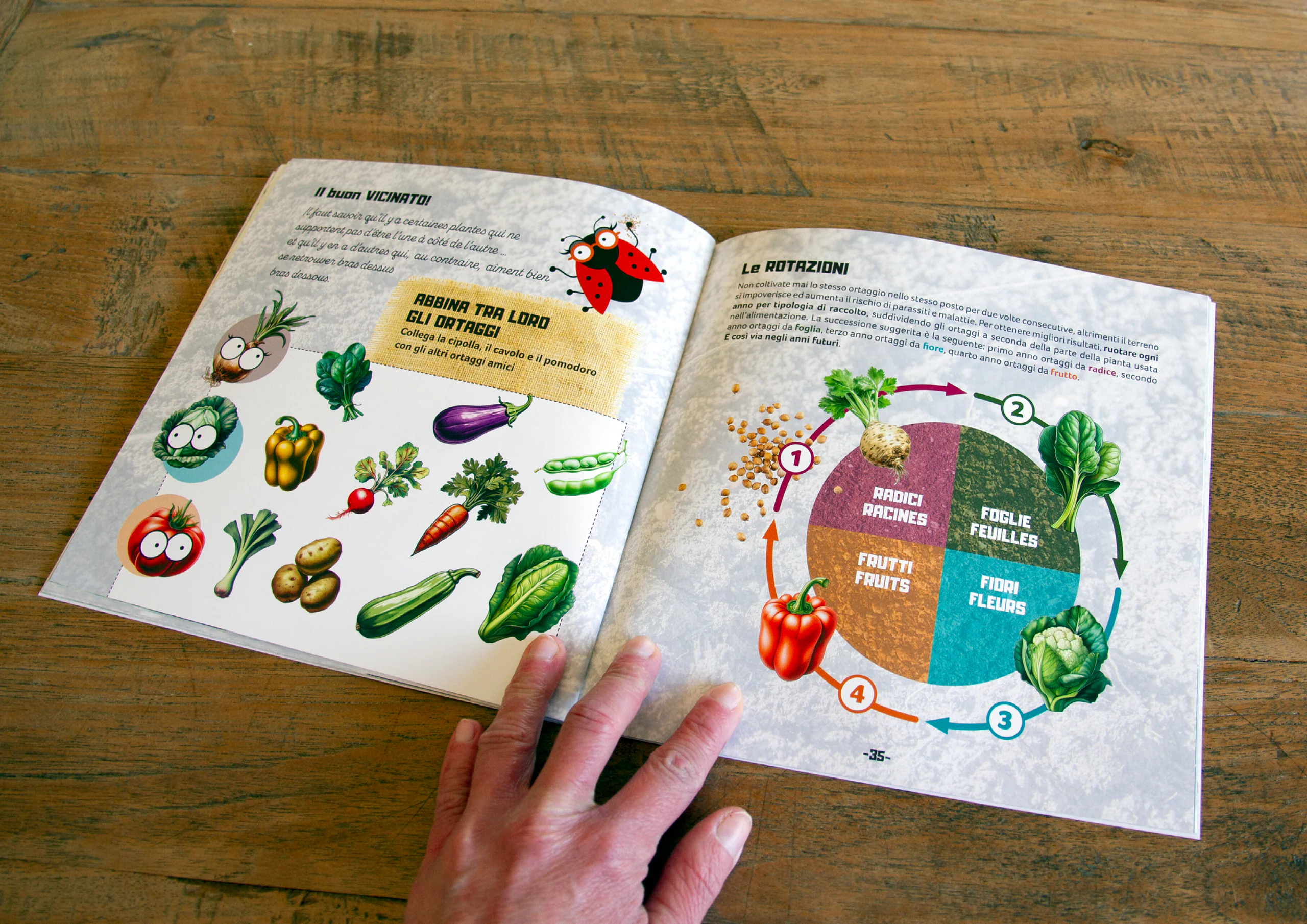 Jardin Potager, illustrazione editoriale 4